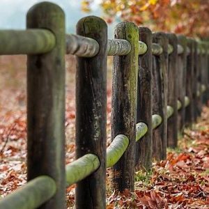 Dicta debitis sunt quas ea.